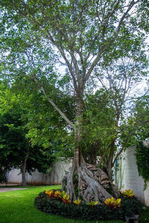 Villa San Antonio de Padua Izamal Esterno foto